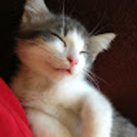 Meet your Posher, Lemon - Picture 1 of 1